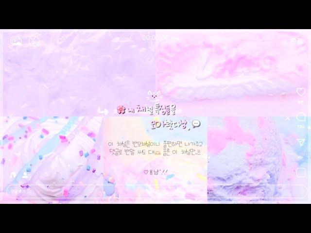 내 채널 특징들