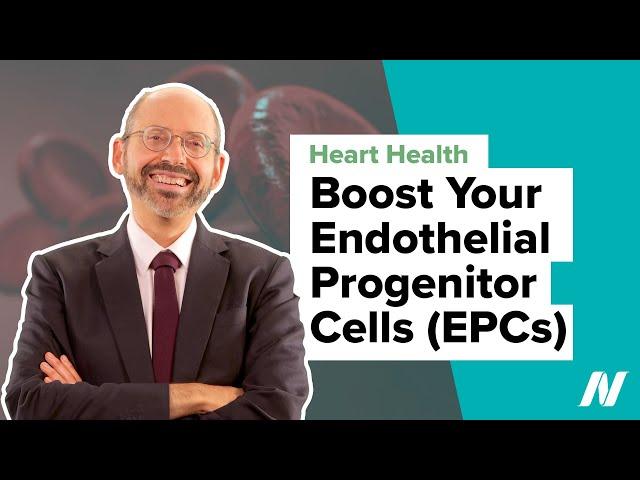 How to Boost Your Endothelial Progenitor Cells (EPCs) for Heart Health