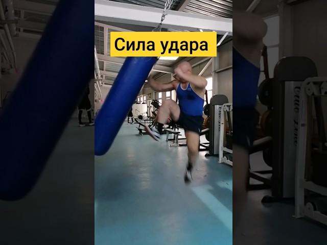 Training day KICK BOXING. Сила удара тренировка. #боевыеискусства #уличныйбокс #бокс #кикбокс