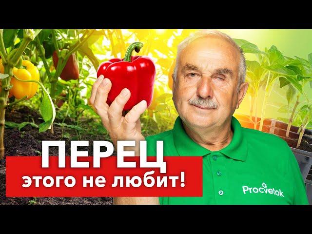 НЕ ДЕЛАЙТЕ ЭТИ ОШИБКИ ПРИ ПОСЕВЕ ПЕРЦА! Агроном раскрыл 7 ошибок всех начинающих огородников