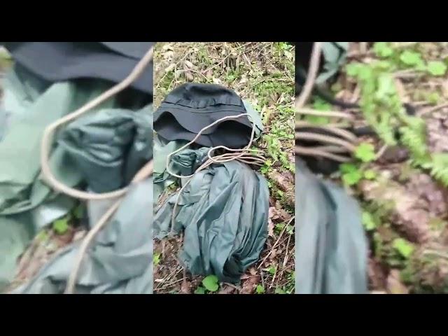 Румунія 11 червня. 11 днів. Гори Карпати - кордон там, просто йдемо.