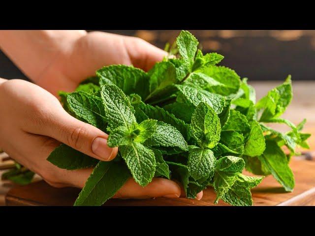 The blood sugar drops immediately! This recipe is a real treasure!