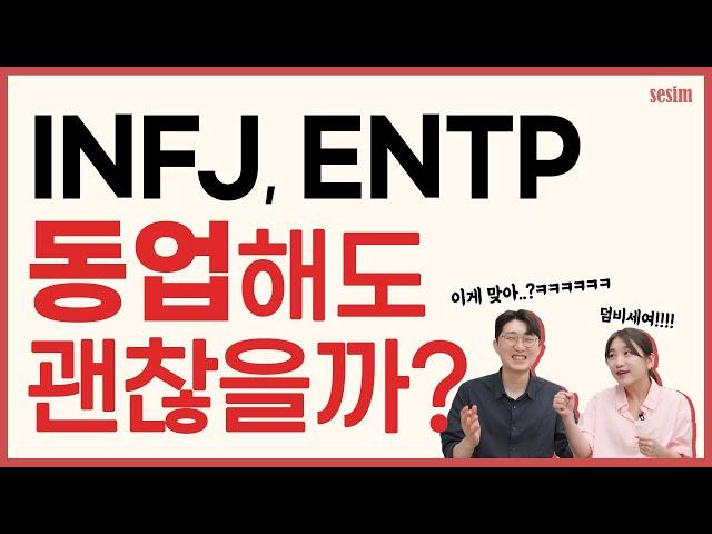 INFJ와 ENTP가 동업하면 생기는 일 (feat. 연인과 같이 일하면?)