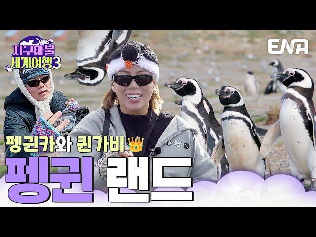 펭귄 보면 궁전으로 갈 수도 있어가비와 곽튜브의 펭귄 투어 #지구마불세계여행3 EP.14