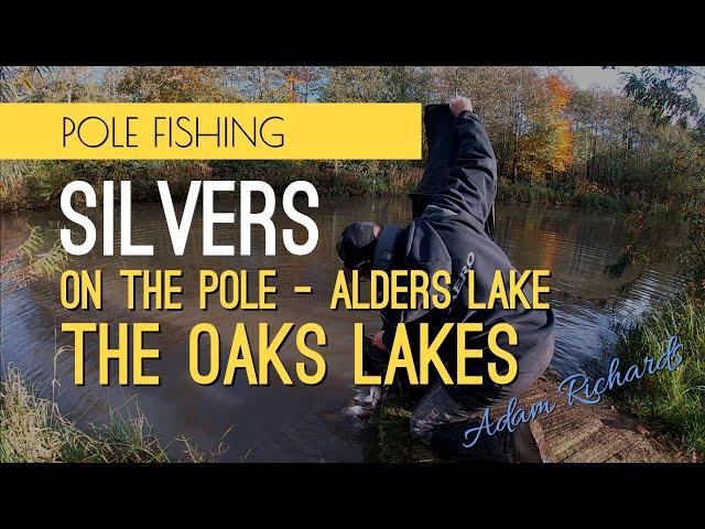 Winter Silver Fish - Alders Lakes The Oaks