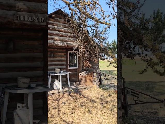 Allen Cabin moved from remote location in Idaho.