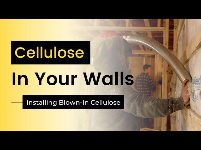 Cellulose Insulation for Walls: Benefits, Installation, and Cost