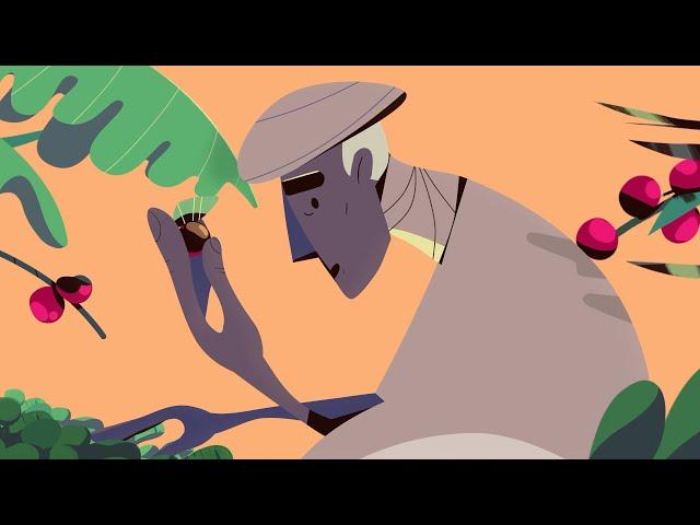 The Story of Coffee | History of Coffee | Motionlab