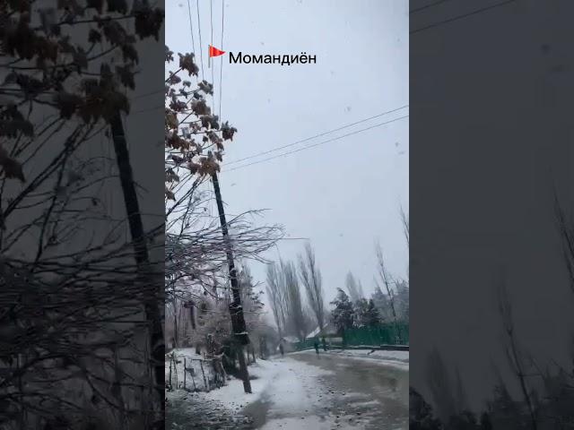 Момандиён Барфи якум 12.12.2023