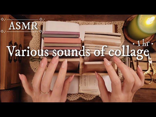 ASMR｜コラージュの色々な音/Various sounds of collage｜sleeping,Relaxing, 睡眠,作業,BGM