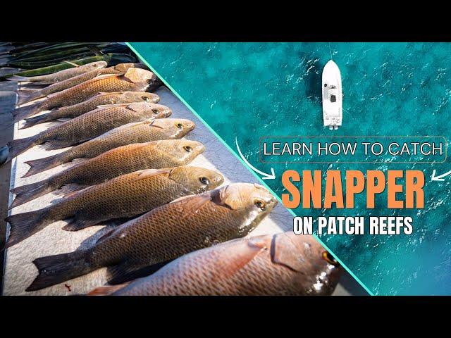 Catching Big Mangrove Snapper: Florida Keys Patch Reef Fishing Tips