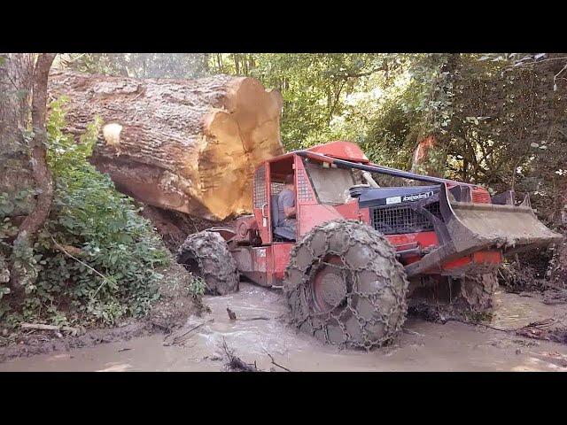 Dangerous Idiots Monster Logging Wood Truck Driving Skills, Fastest Climbing Truck Heavy Equipment