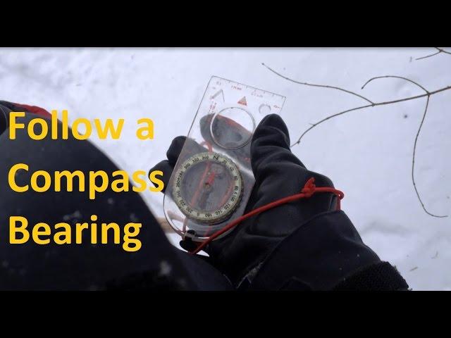 How to Follow a Compass Bearing in Heavy Forest