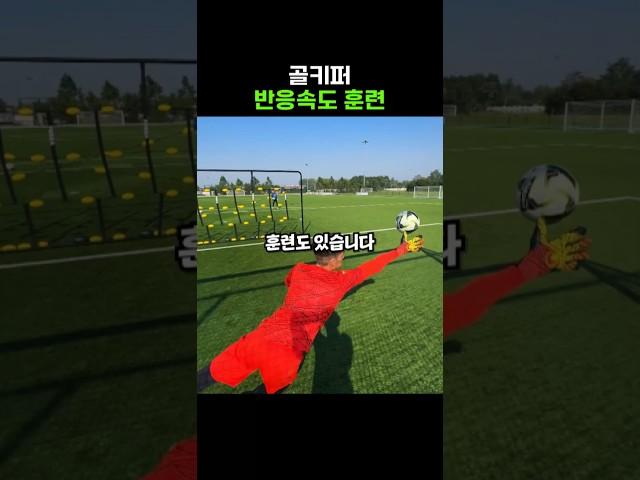 미친 반응속도란 이런 것