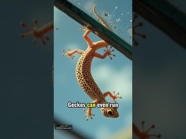 Gecko's Secret Superpower: Sticky Feet Explained! #animals #reptiles #curiosity #wildlife