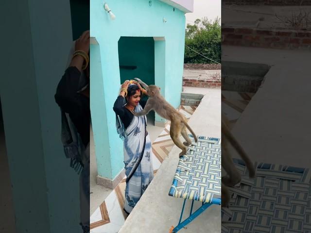 Itni kirpa sanware banaye rakhna #shree_krishna_ringtone #monkeyvideosforkids #monkey