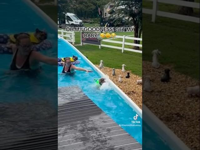 And this is why Barkley takes swimming lessons! #bulldog #barkleythabulldog