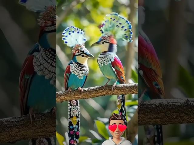 Beautiful Birds Couples ️ #birds#birdslover #birdslover  #naturephotography #shots #cute