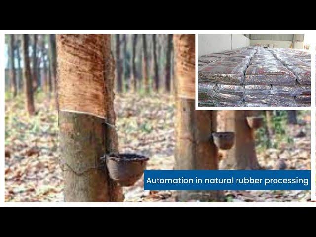Rubber manufacturing and packaging- ISNR-20 - Rubber industry