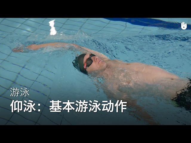 游泳基本动作 | 学习仰泳