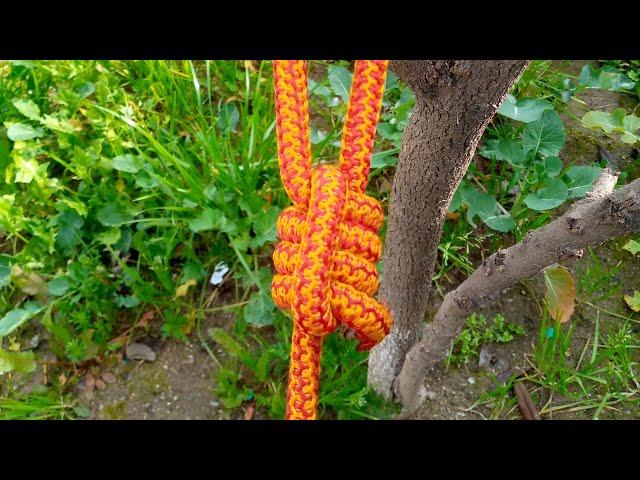 How to tie one classic knots commnly use out door | premium knots |@ropetrick6037