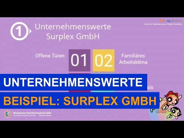 Unternehmenswerte am Beispiel der Surplex GmbH