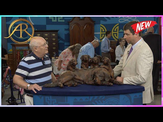 Antiques Roadshow 2024 | Antiques Roadshow US | Antiques Roadshow Full Episodes