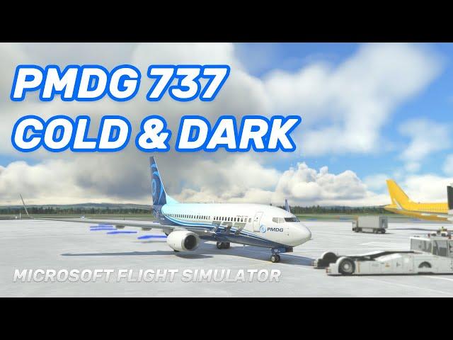 PMDG 737 MSFS - Easy Cold & Dark Start Tutorial