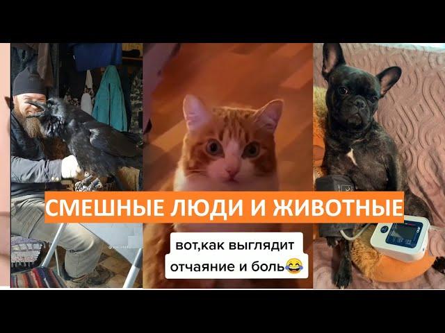 САМЫЕ СМЕШНЫЕ ЛЮДИ И ЖИВОТНЫЕ | Весёлая Утка