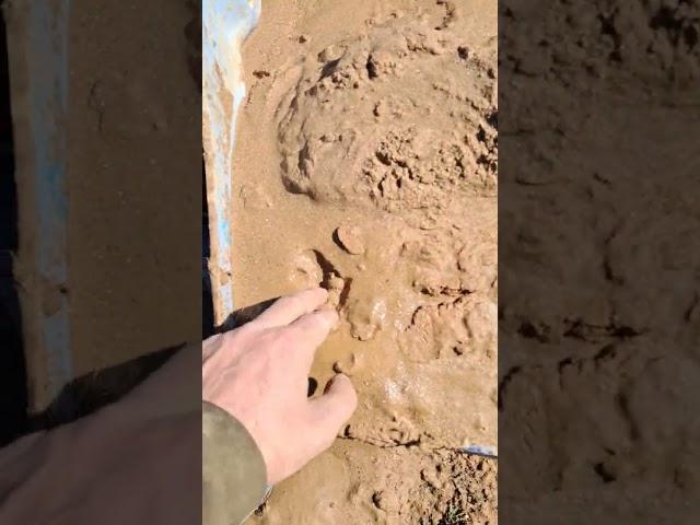 Абиссинская скважина Заказать 89608441967 @TropaAbissinii  #абиссинская #ремонт