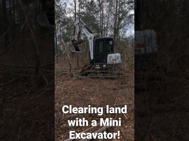 Clearing RAW Land With A MINI Excavator! #cowboys #texas #rawland #clearingland