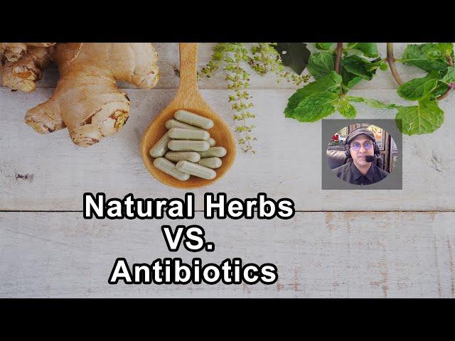 Natural Herbs Vs. Antibiotics - Sunil Pai, MD - Interview