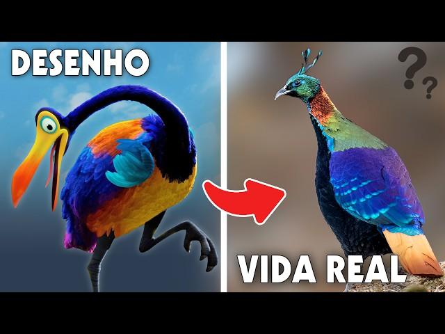 AVES de desenhos que Existem na Vida Real!