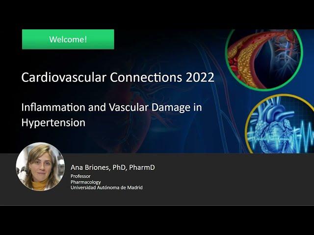 Inflammation and Vascular Damage in Hypertension