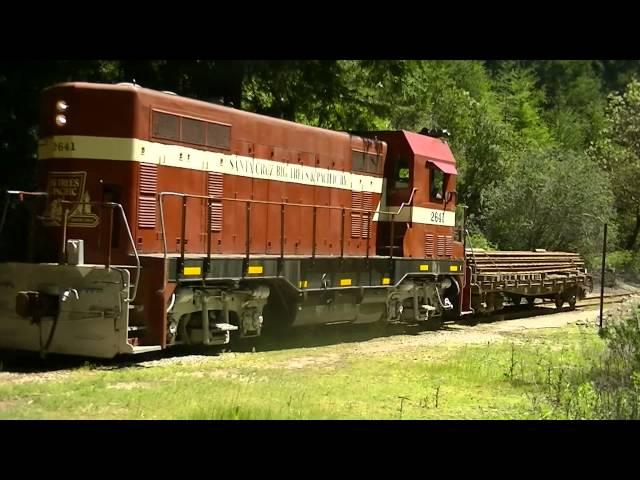 roaring camp  cf7 2641