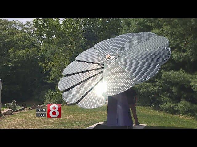 Solar sunflower helps one farm grow lavender plants