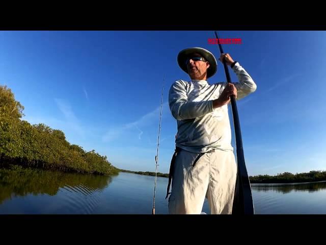 Hunting Reds Off Of Jungle Trail