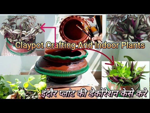 Claypot Crafting // Vibrant Decorations With Water-loving Indoor Plants#diycrafts