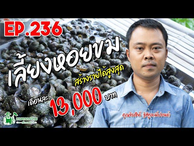 เพาะเลี้ยงหอยขม สร้างรายได้เสริม 13,000 บาท/เดือน l เกษตรกรไทย สร้างรายได้ Ep236