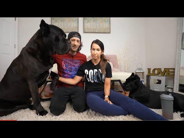 Jason Corey LIVE My Fam vs Your Fam - In The Doghouse LIVE