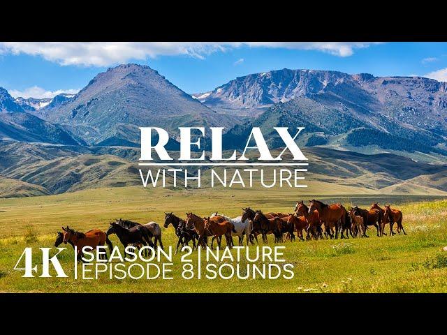 4K Scenic Journey Around the World with Calming Sounds - RELAX WITH NATURE | Season 2; Episode 8