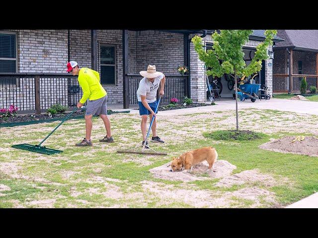 Flatten a BUMPY and UNEVEN Lawn - EASY