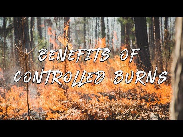 Controlled Burning on Your Property