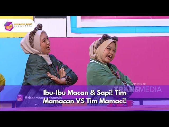 Ibu-Ibu Macan & Sapi! Tim Mamacan VS Tim Mamaci! - DREAMBOX INDONESIA (27/12/24) P1