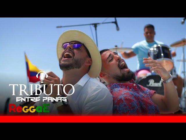 TRIBUTO ENTRE PANAS REGGAE MULATO, RAWAYANA, LOS PERICOS, BAD BUNNY, MATA RICA, MERMELADA BUNCH