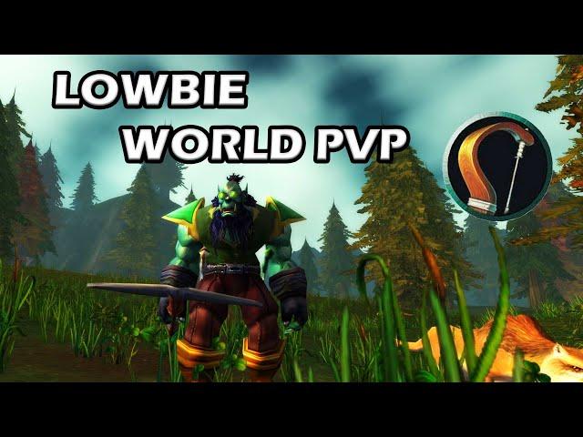 Low-Level Marksmanship Hunter 25+ World PvP! | WoW Classic Era