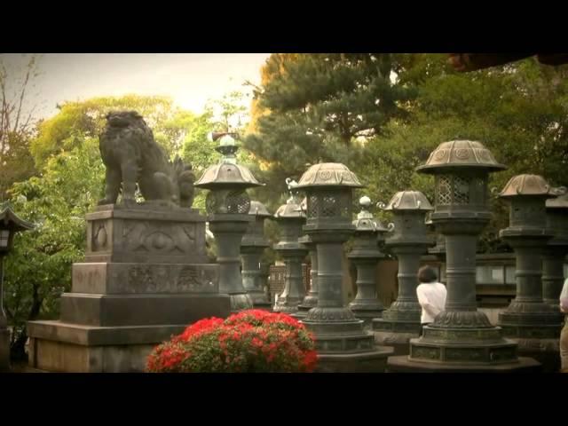 The beauty of Japan Landscape  HD