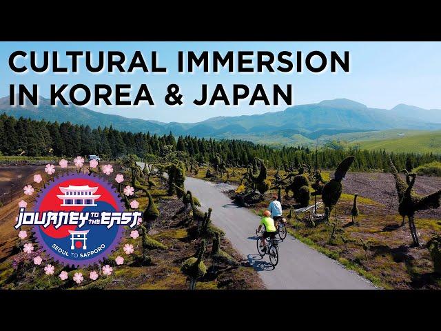 Cultural Immersion in Korea & Japan