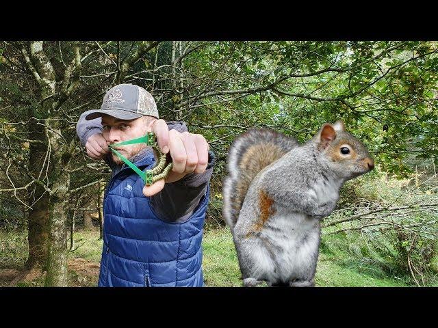 Catapult Hunting in the Forest