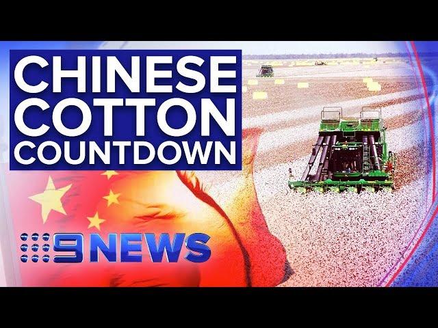 Chinese owner of controversial QLD cotton farm has just 11 days to sell | Nine News Australia